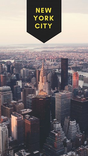 WhatsApp Status Maker Online - Create WhatsApp Status | Canva