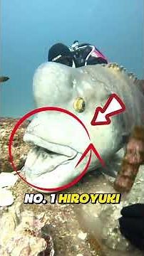 Top 5 Sea Creatures That Look Straight Out of Another World! #seacreatures #DeepSeaCreatures #top5