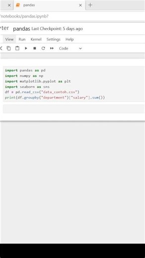 Automate Payroll Insights in Seconds with Python!