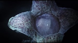 Watch Alien: Covenant 2017 Full Movie Online