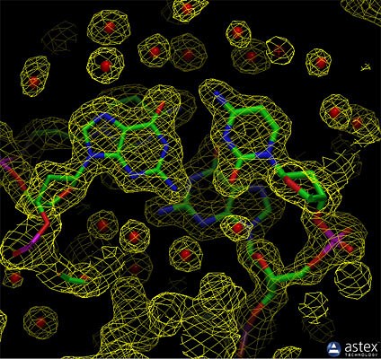 PDB101: Learn: Guide to Understanding PDB Data: Methods for Determining Structure