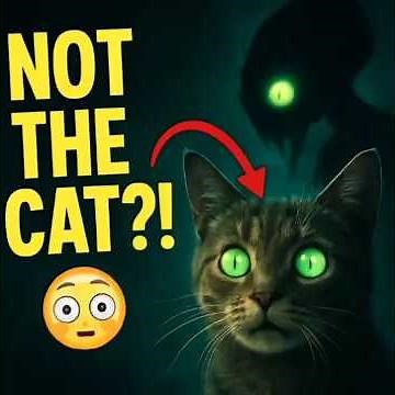 Alien: Earth’s Cat Scene SHOCKED the Internet 🐱👽 | FX & Hulu’s Darkest Moment Yet"