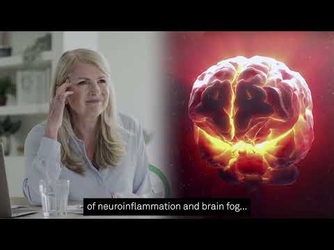 Java Brain - John barban