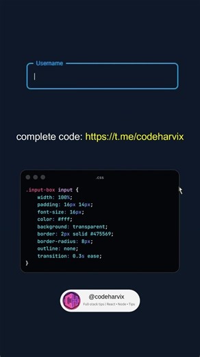 Floating Input Animation using ONLY HTML & CSS 🔥