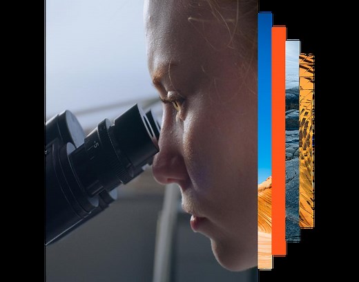 ScienceDirect | Peer-reviewed literature | Elsevier