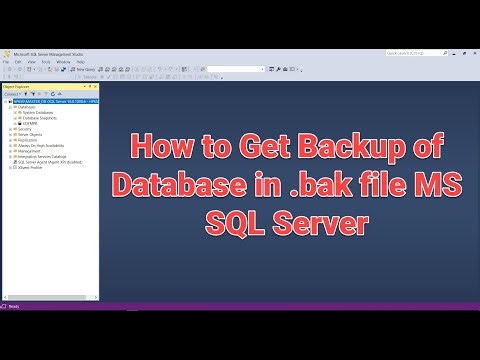 How to Create a .bak File Backup in MS SQL Server (Step-by-Step Guide)