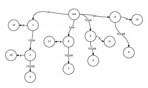 Longest repeated substring problem - Alchetron, the free social encyclopedia