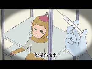 実験台にする子ザルを生ませる国家プロジェクト ～NBRP「ニホンザル」を終わらせよう！～