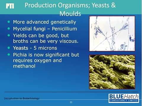 Introduction to Biotechnology