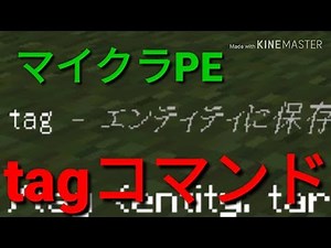 【マイクラPE】tagコマンドの分かりやすい使い方 バージョン1.9【マイクラBE】