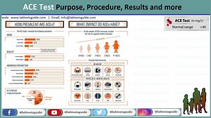 ACE Level Test Purpose, Procedure, Result and more | Lab Tests Guide