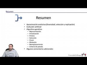 Algoritmos Genéticos. 12 Resumen