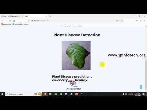 Plant Disease Detection and Classification Using Machine Learning Algorithm | Python IEEE Project