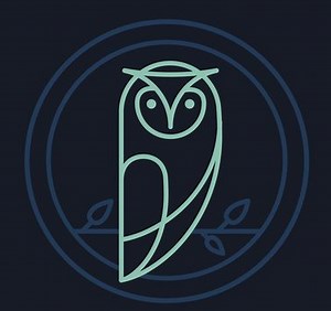 The 1 Minute Coding Lesson Series | Midnight Medical Coding, LLC