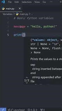 Python for Beginners — Variables & Printing Explained