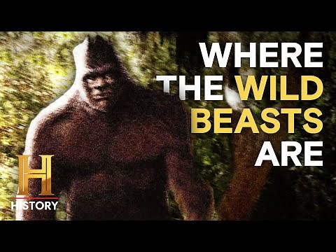 Ancient Aliens: Mysterious Creatures Creep Among Us | History