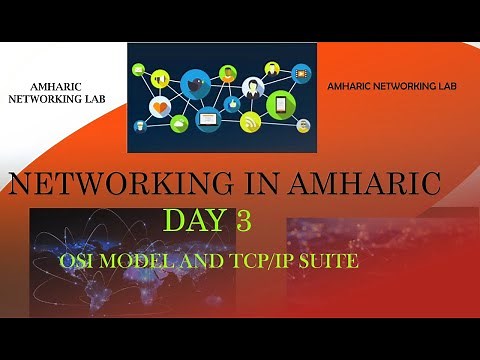 Networking | Day 3 | OSI Model and TCP/IP suite