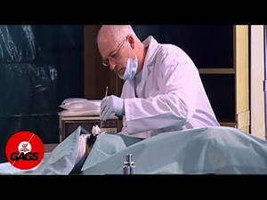 Nasa Discovers Alien Remains... | Just For Laughs Gags