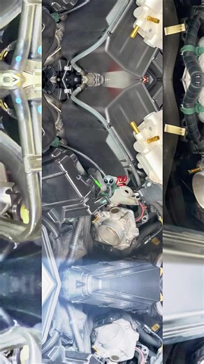 Alien 👽⚡️ (@aliennoda)’s videos with Vengeance - Herkules Beats