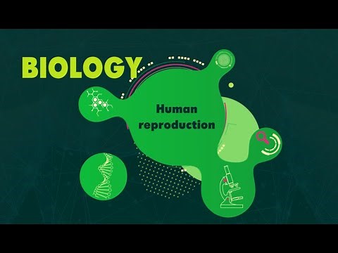KS3 Reproduction (BBC Bitesize Biology)