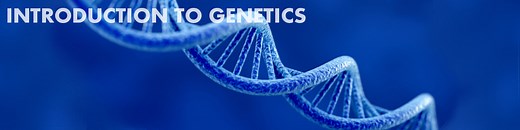 Introduction to Genetics | Basic Biology