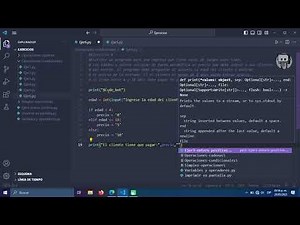 PROGRAMA EN PYTHON | PRECIO DE UNAS ENTRADAS / ASMR