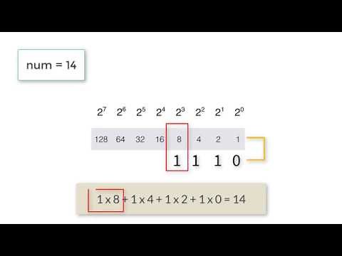 C Program To Convert Decimal To Binary Number using Recursion