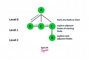 Breadth First Search Algorithm - Scaler Blog