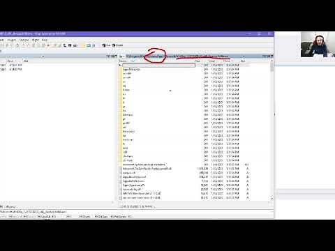 Debugging with IDA: Setting up IDA for use with Windbg's debugger engine