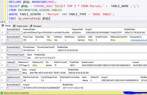 Working with parameters in the sp_executesql stored procedure