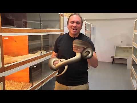 Python Bites! SnakeBytesTV