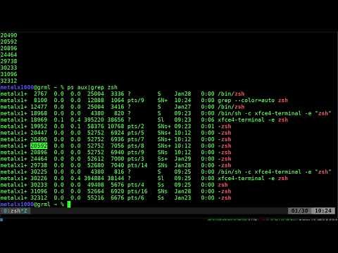 22 Get the Process ID of a Running Program Linux Shell Tutorial