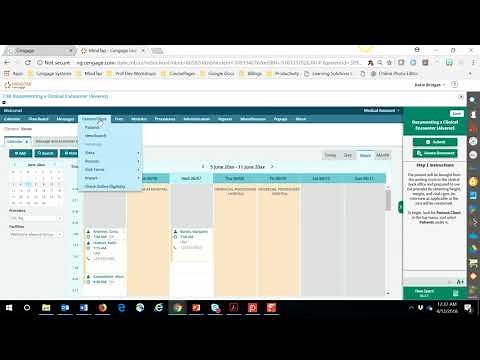 MOSS 3.0 (MindTap) - Assessment Mode Simulations
