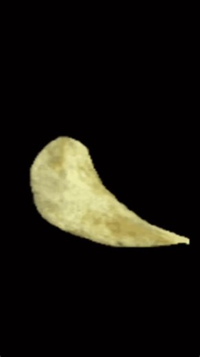 jjkballer (@jjkballer)’s videos with Willy Bum Bum - ALIEN REd WOLf