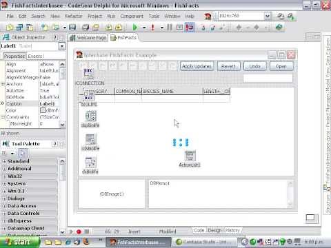 Delphi Programming Tutorial #50 - ClientDataSets & DataSetProviders