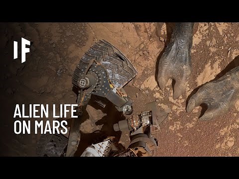 What If We Discovered Alien Life on Mars?