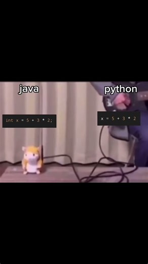 Python vs Java 😂#coding #webdevelopment #edit #memes
