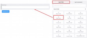 Mask Input Field in WP Fluent Form WordPress plugin