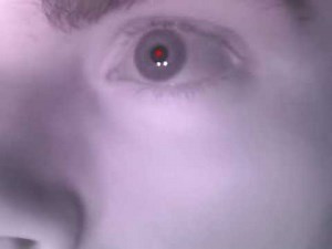 webcam eye-tracking (Python-based)