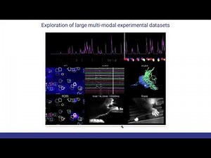 fastplotlib - Driving scientific discovery through data visualization (2025)