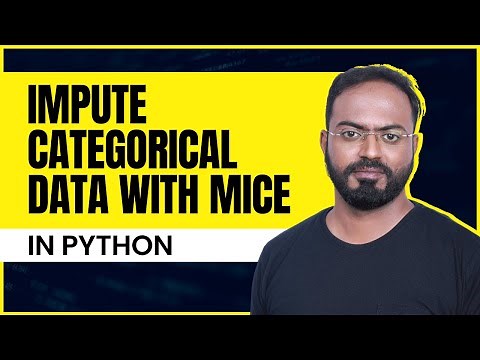 How to impute missing data in categorical features (using MICE)