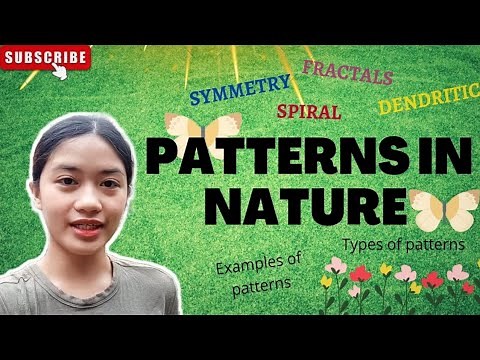 WHAT IS PATTERNS IN NATURE | TYPES OF PATTERNS | MATHEMATICS IN THE MODERN WORLD