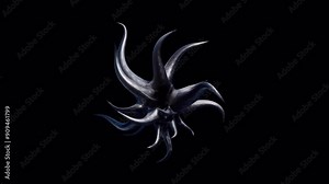 Alien tentacles dark organism animation Loop With Alpha channel 4k resolution