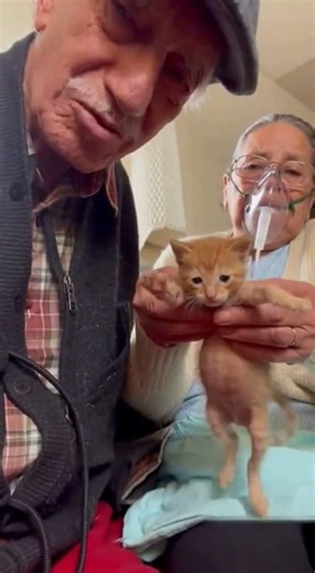 Abuelitos enfermos necesitan ayuda🙏🏻❤️