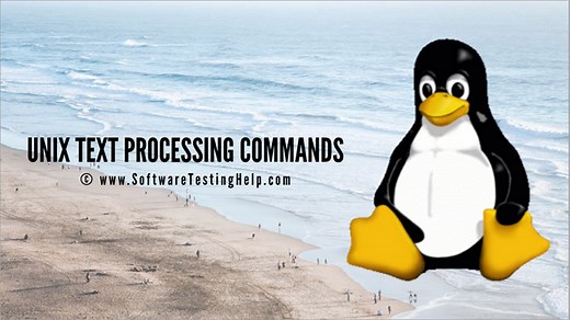 Unix Text Processing Commands: Unix Filters with Examples