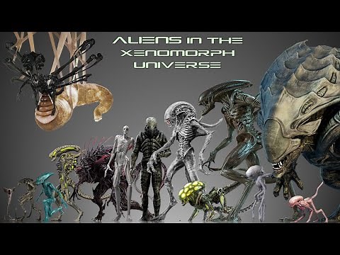 Size Comparison Of 70 Xenomorph Forms & Their Related Species (From Movies, Games & Comics)