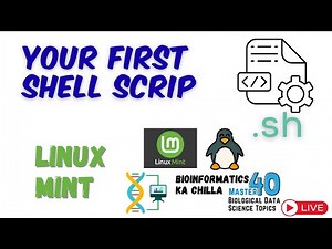 Create Your First Shell Script and Execute It in Linux Mint | Beginner Shell Scripting Guide