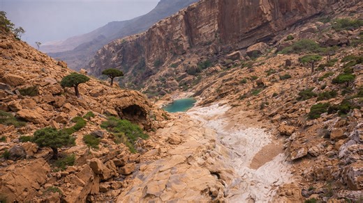 Where is this alien-looking landscape?