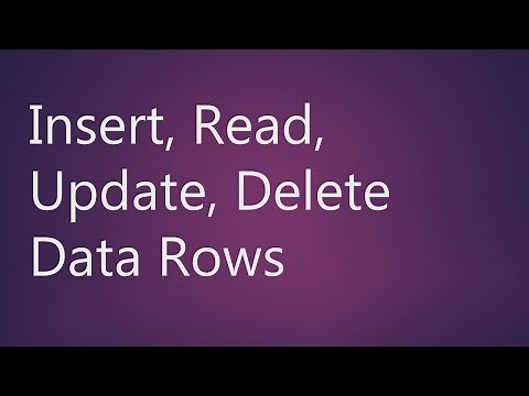 MySQL Workbench Insert, Read, Update, Delete Data Rows