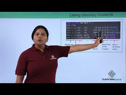 Linux File Management